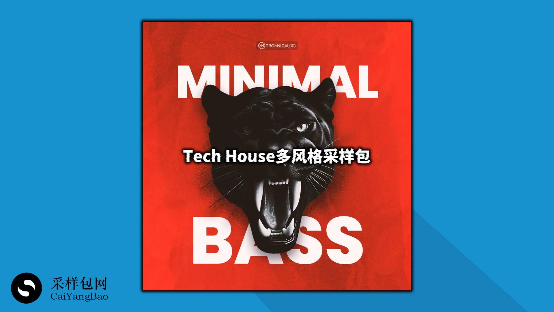 Tech House多风格采样包！