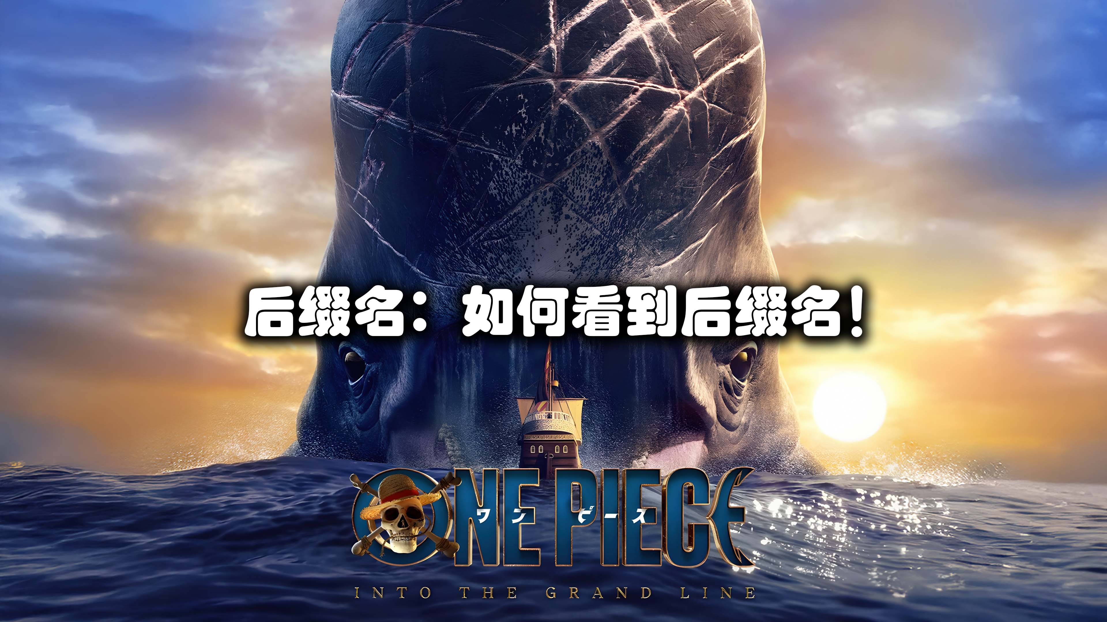 后缀名：如何看到后缀名！