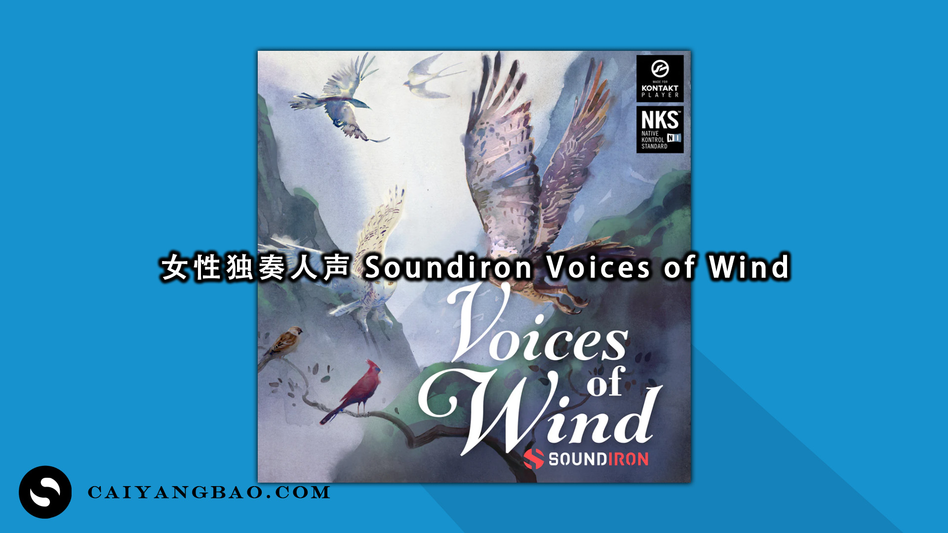 女性独奏人声 Soundiron Voices of Wind