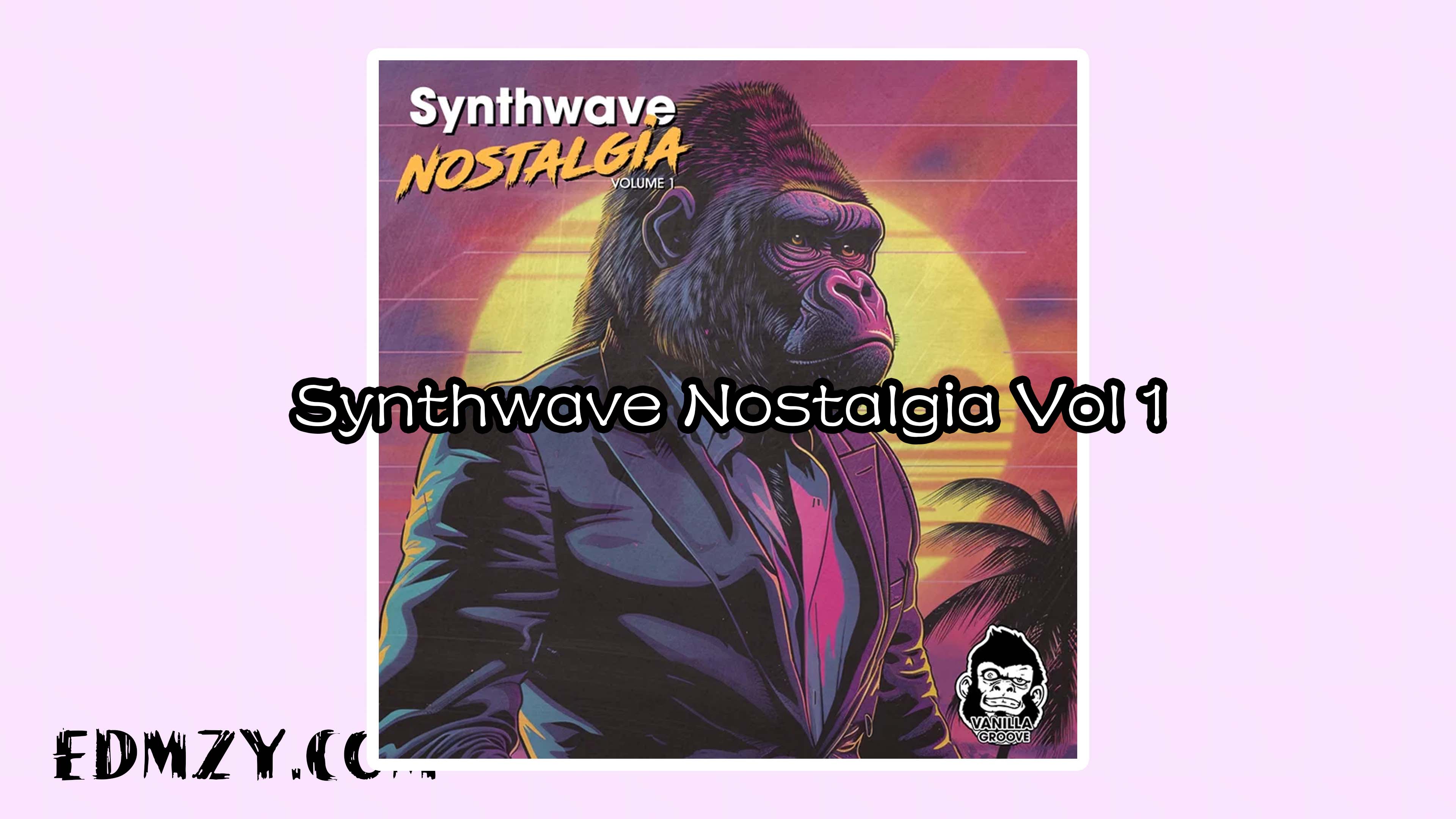 Vanilla Groove Studios Synthwave Nostalgia Vol 1 WAV-FANTASTiC