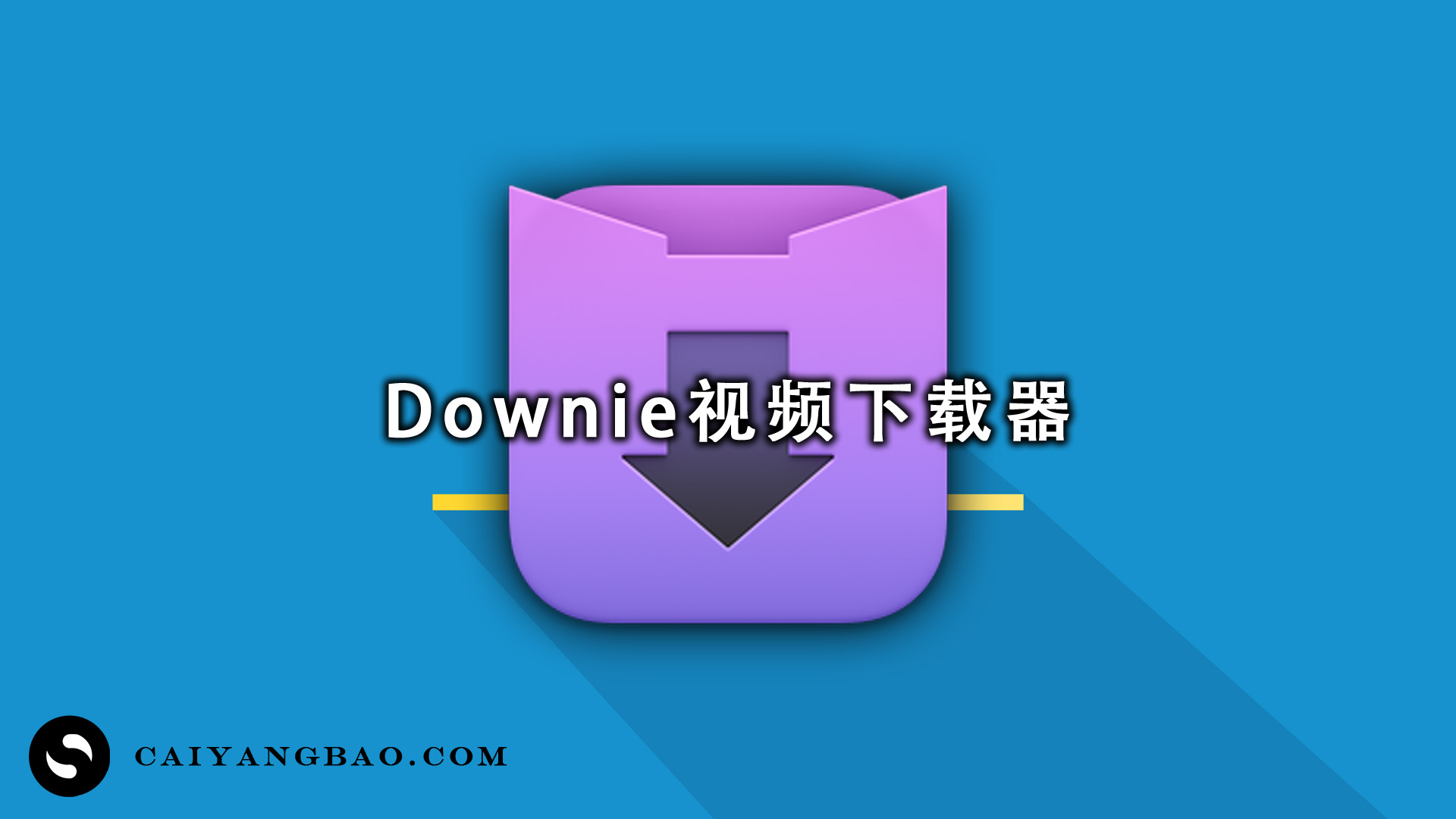 Downie 4.7.22中文版 (最好的视频下载器)