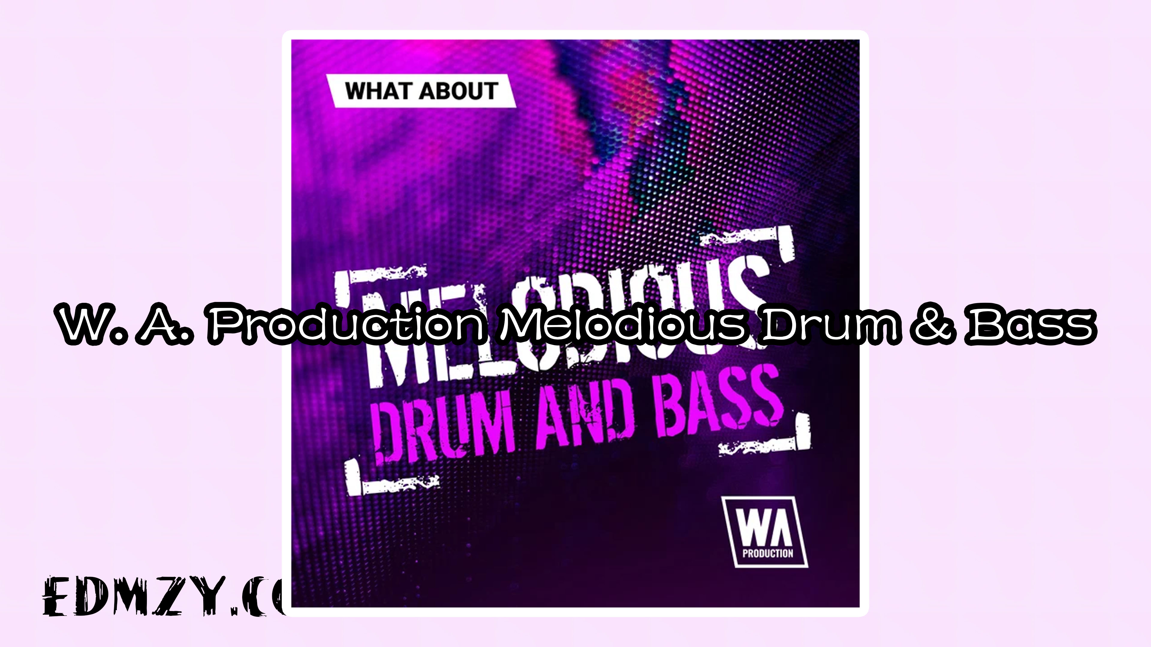 W. A. Production Melodious Drum & Bass WAV MiDi FLP Serum Presets