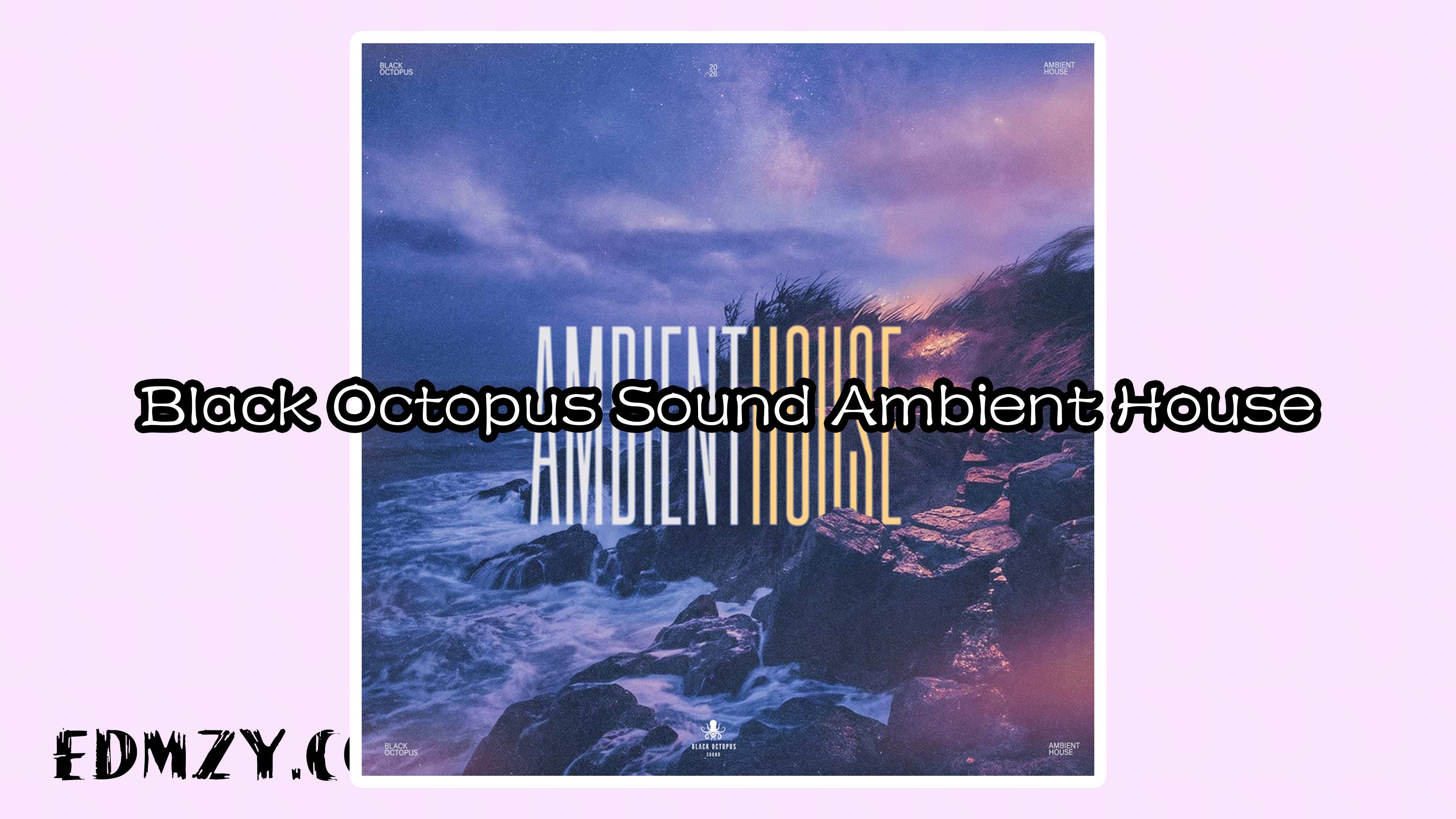 氛围浩室 Black Octopus Sound Ambient House MULTiFORMAT-FANTASTiC