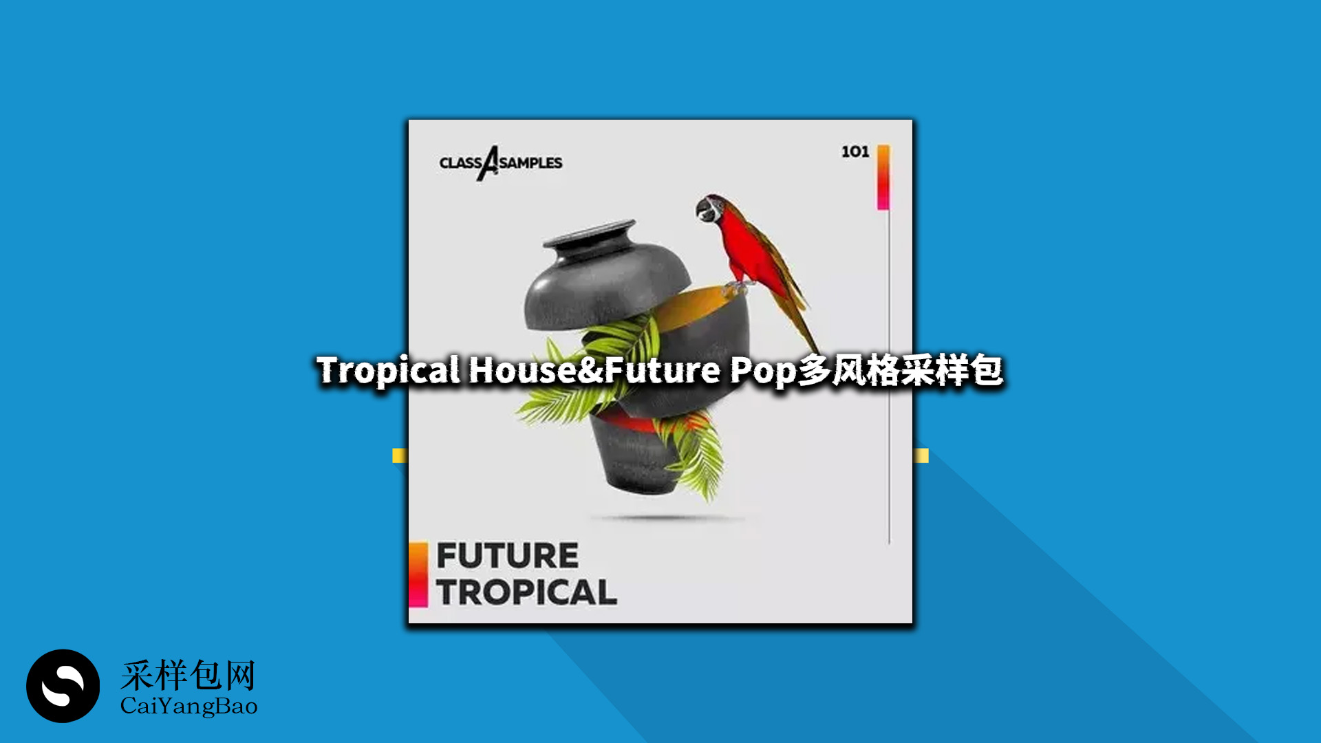 Tropical House&Future Pop多风格采样包