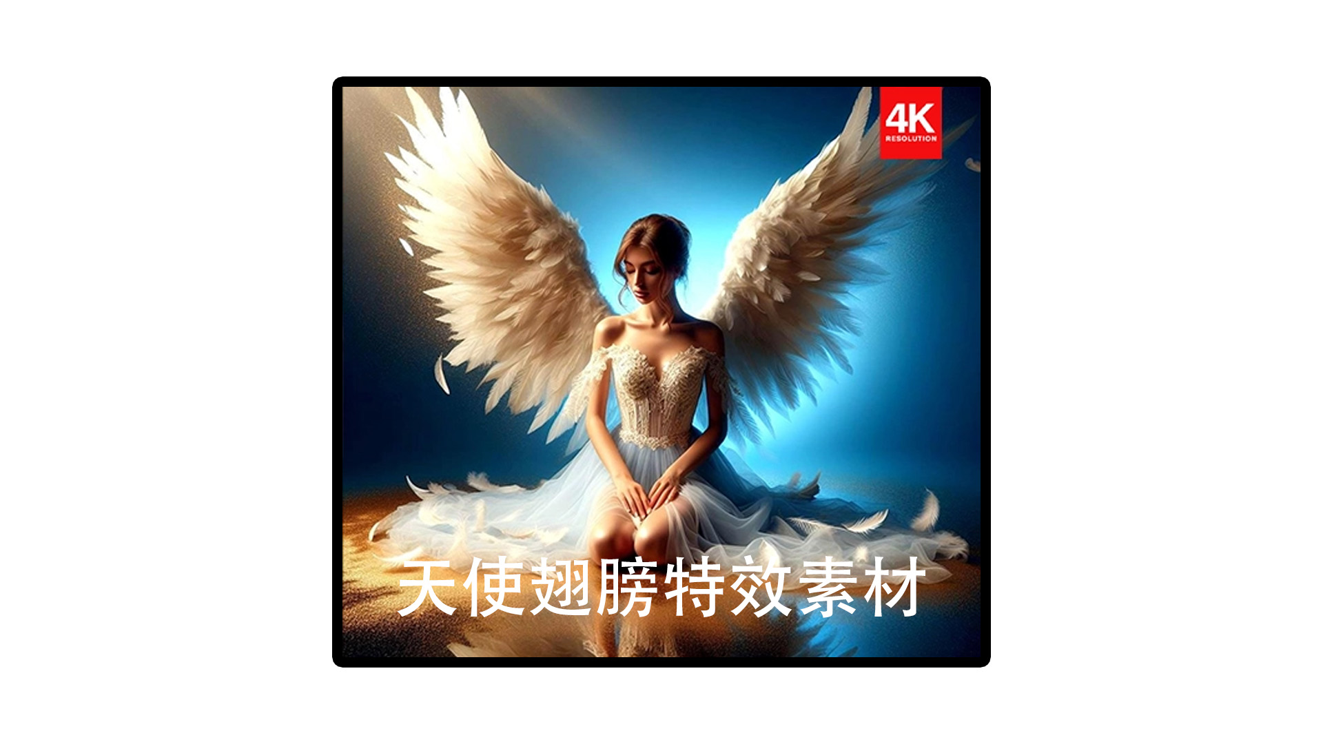 4K视频素材-24个天使翅膀特效素材