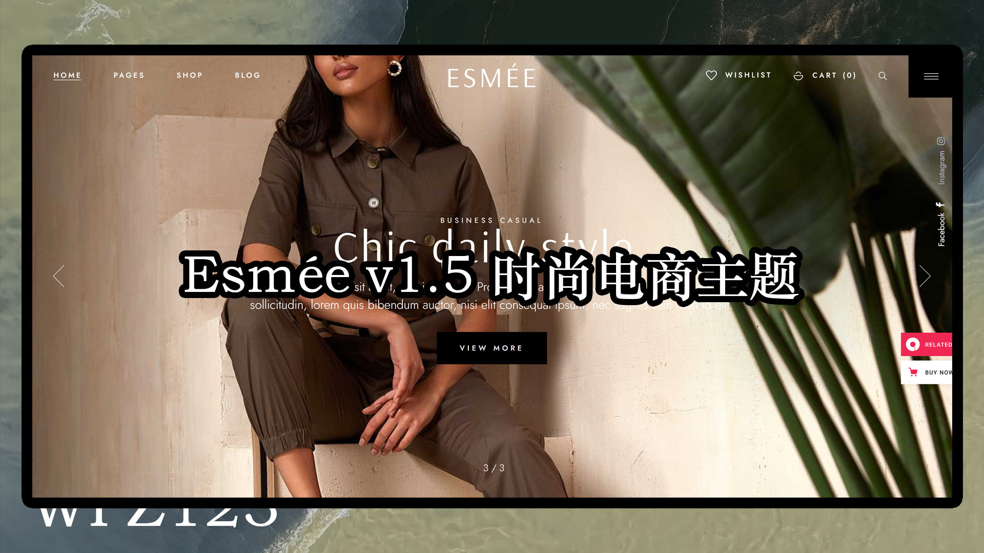 Esmée v1.5 时尚电商wordpress主题下载