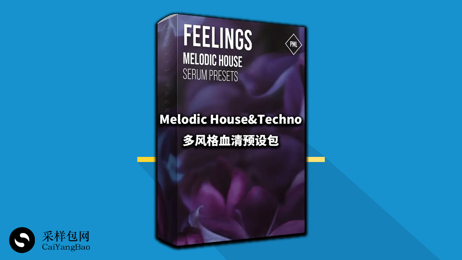 Melodic House&Techno多风格血清预设包  Serum Presets Melodic House Feelings