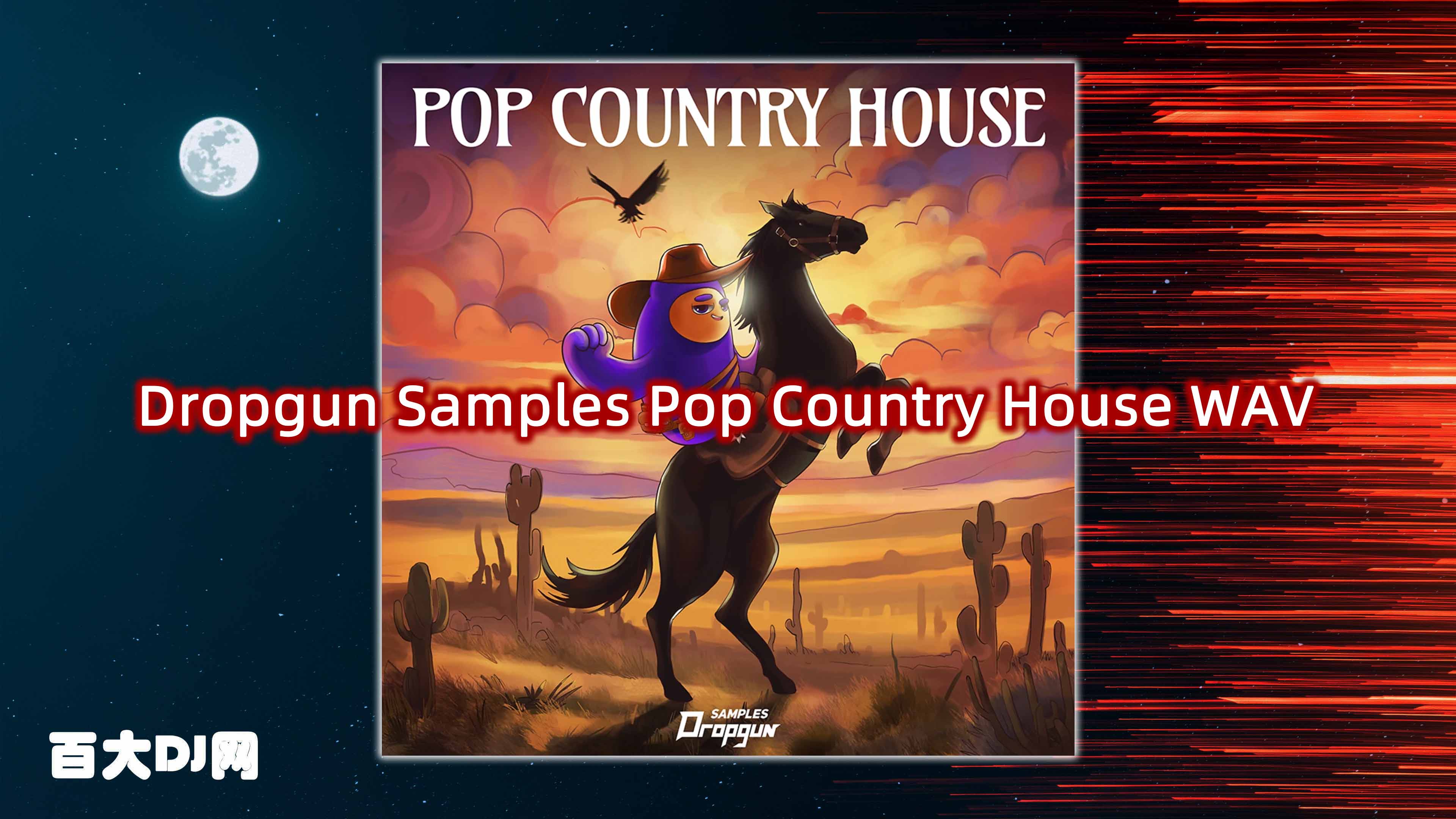 Dropgun Samples Pop Country House WAV Sylenth1 Serum-FANTASTiC