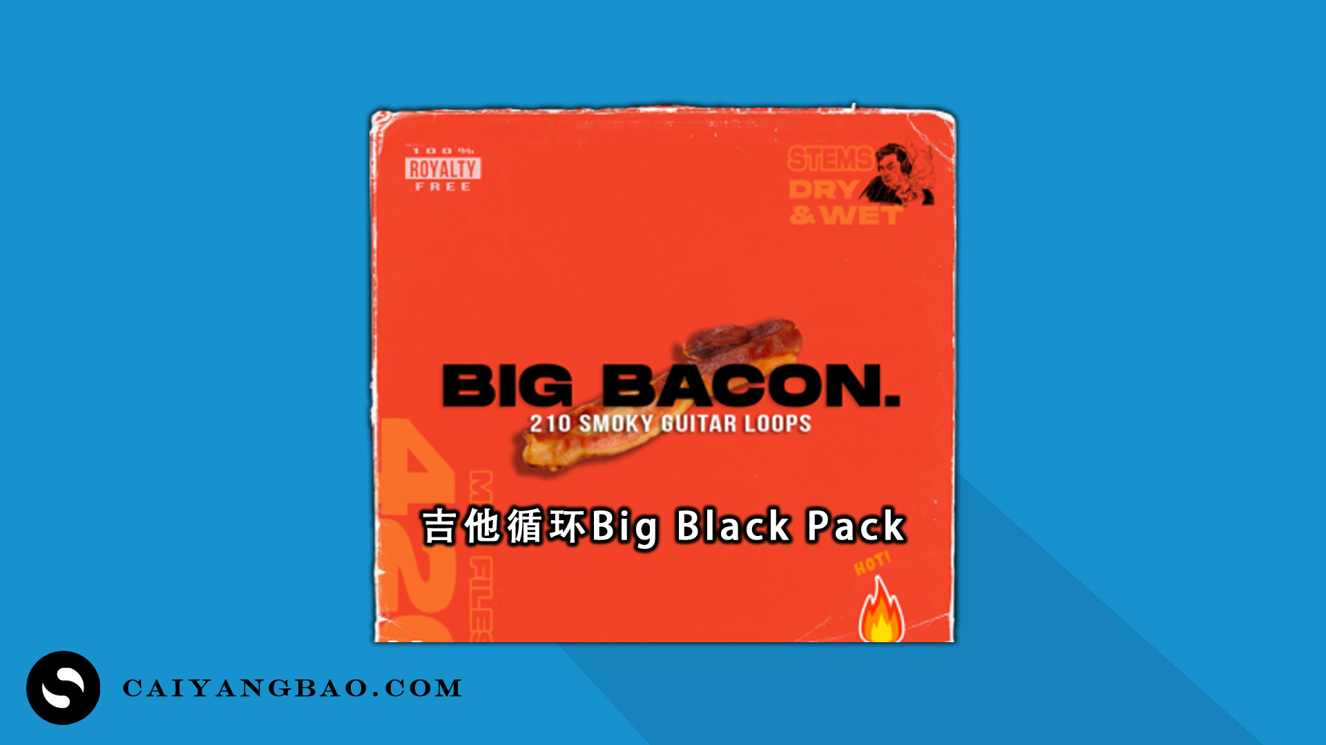 吉他循环 Big Black Pack 吉他 Loop