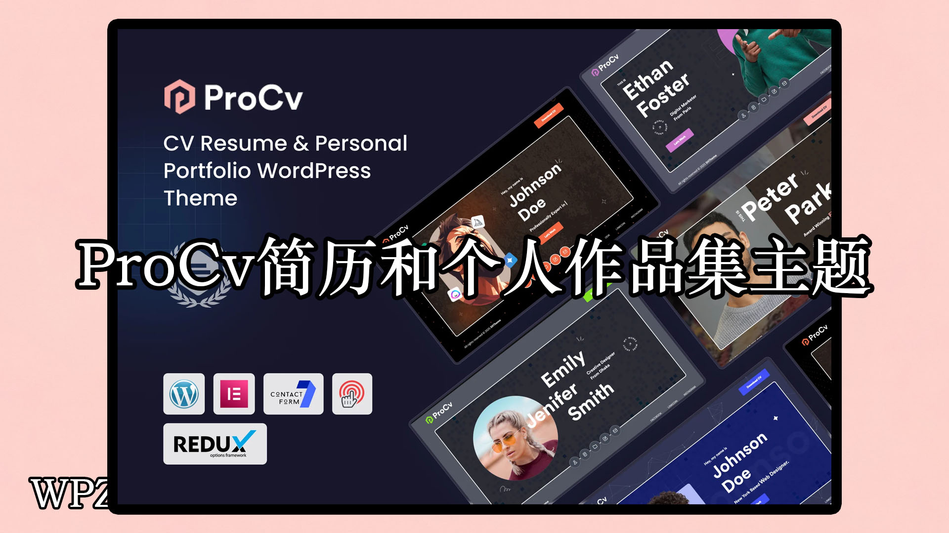 ProCv – 简历和个人作品集 WordPress