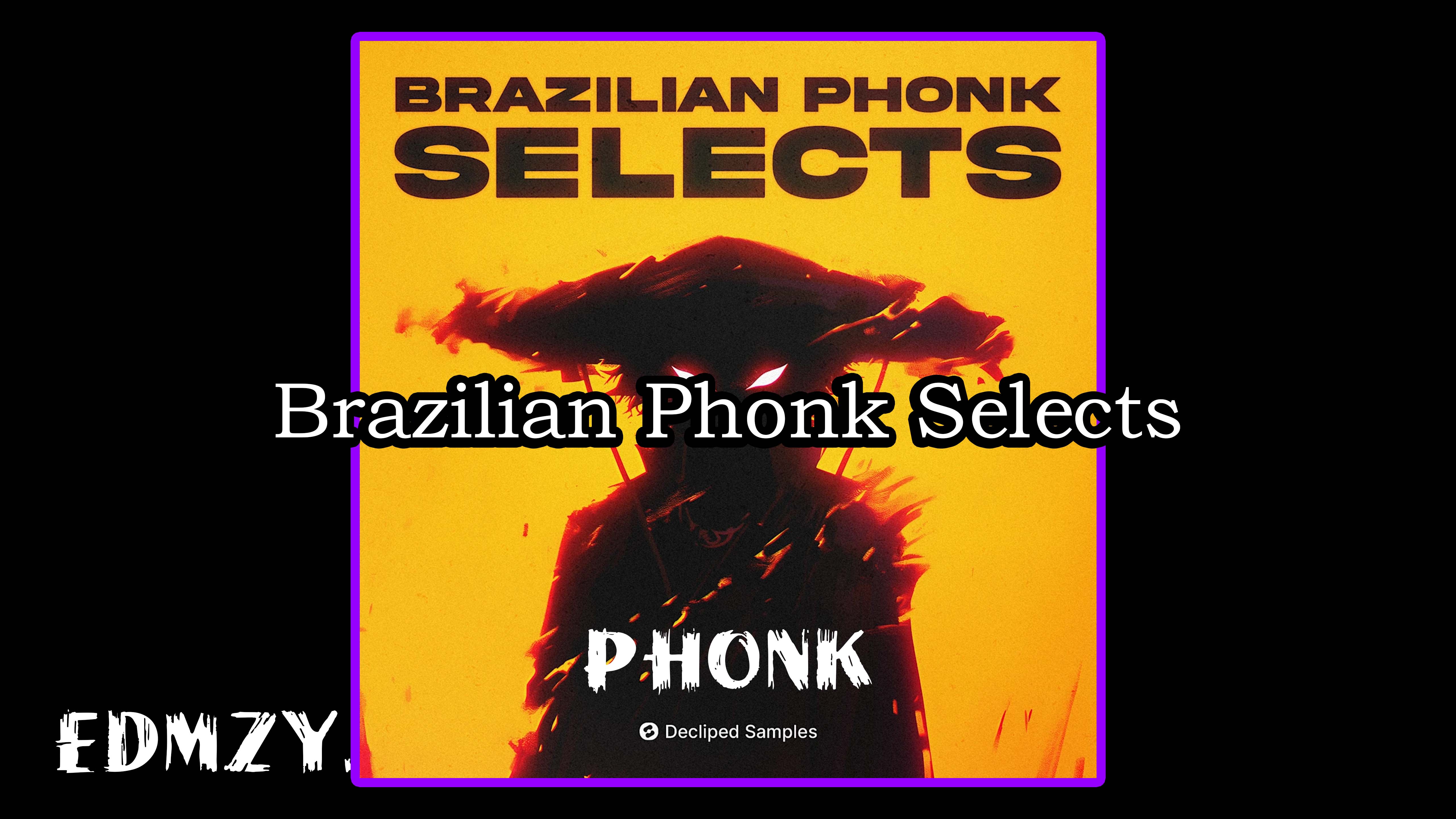 Decliped Samples Brazilian Phonk Selects WAV-FANTASTiC