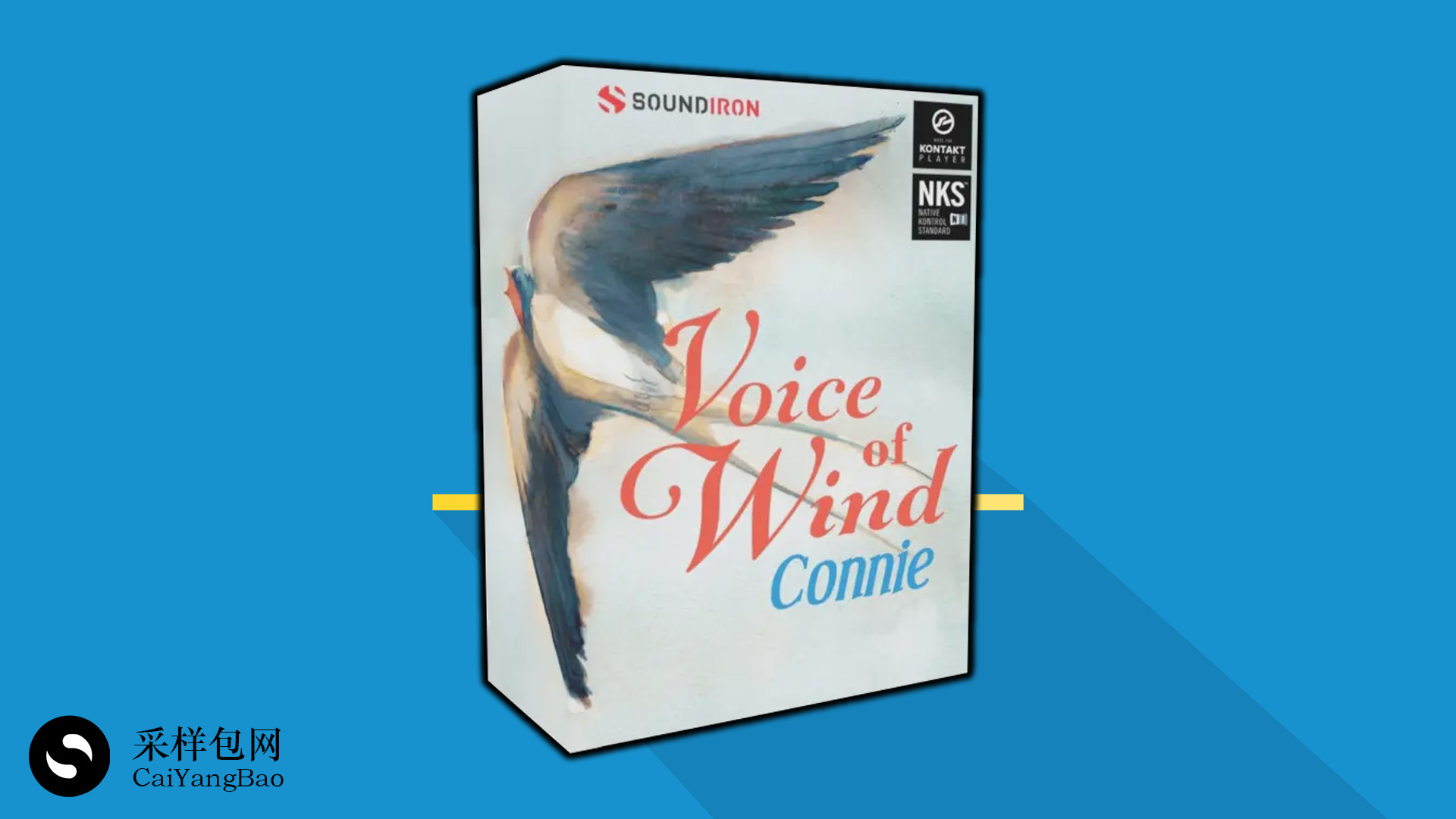 氛围感的人声旋律采样包！多风格 人声合成器KONTAKT扩展