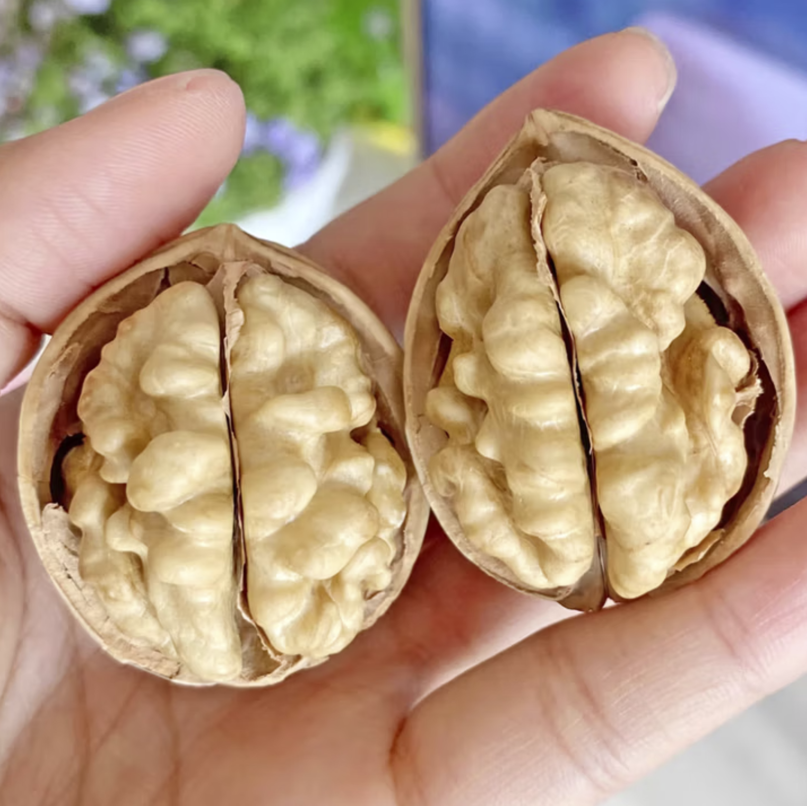 馋叭叭【新疆直发】25年新货手剥185纸皮核桃阿克苏原味薄皮核桃 熟核桃3斤