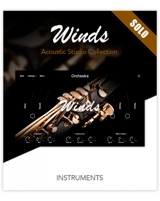 木管独奏 Muze Woodwinds Solo KONTAKT