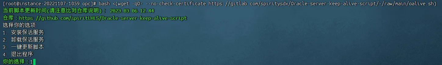 Oracle Cloud甲骨文云主机免费VPS保活永久使用图文教程